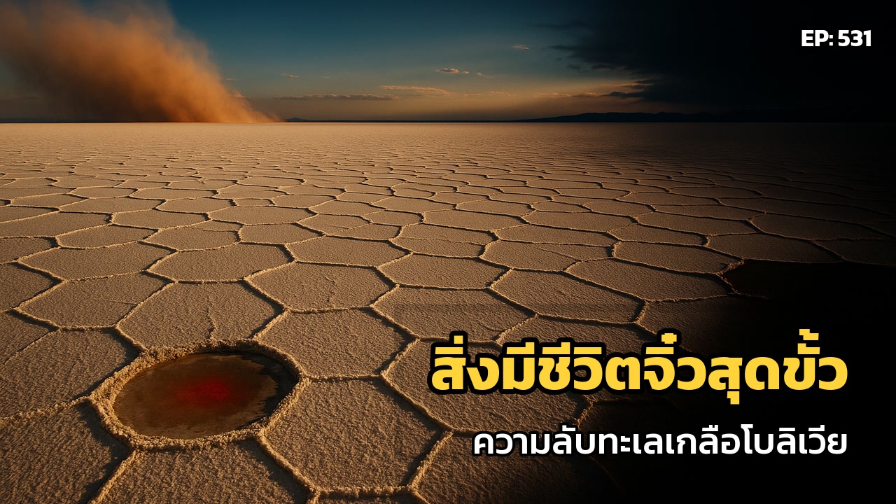 โบลิเวีย: โลกเกลือสุดขีด. ชีวิตจิ๋วผู้ทนทาน. กุญแจไขดาวอังคาร?